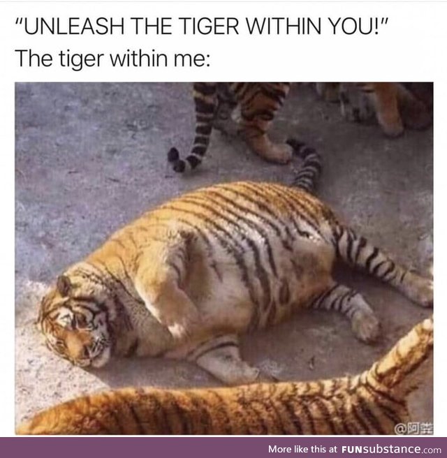 Unleash the tiger within you!!