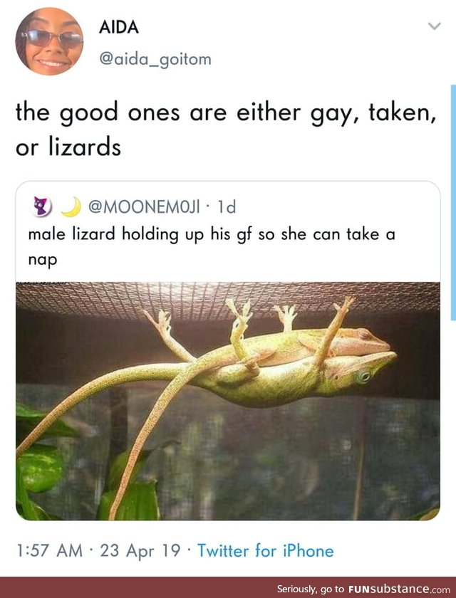 Hate when they turn out to be a lizard