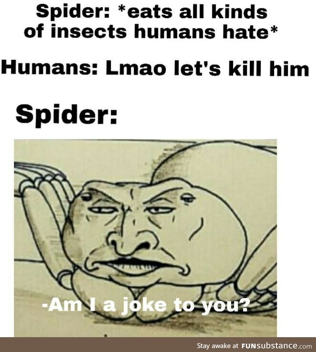 Spiders are cool