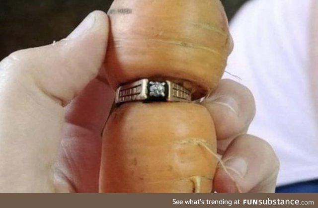 A Canadian woman lost her ring while gardening in 2004. She found it 13 years later