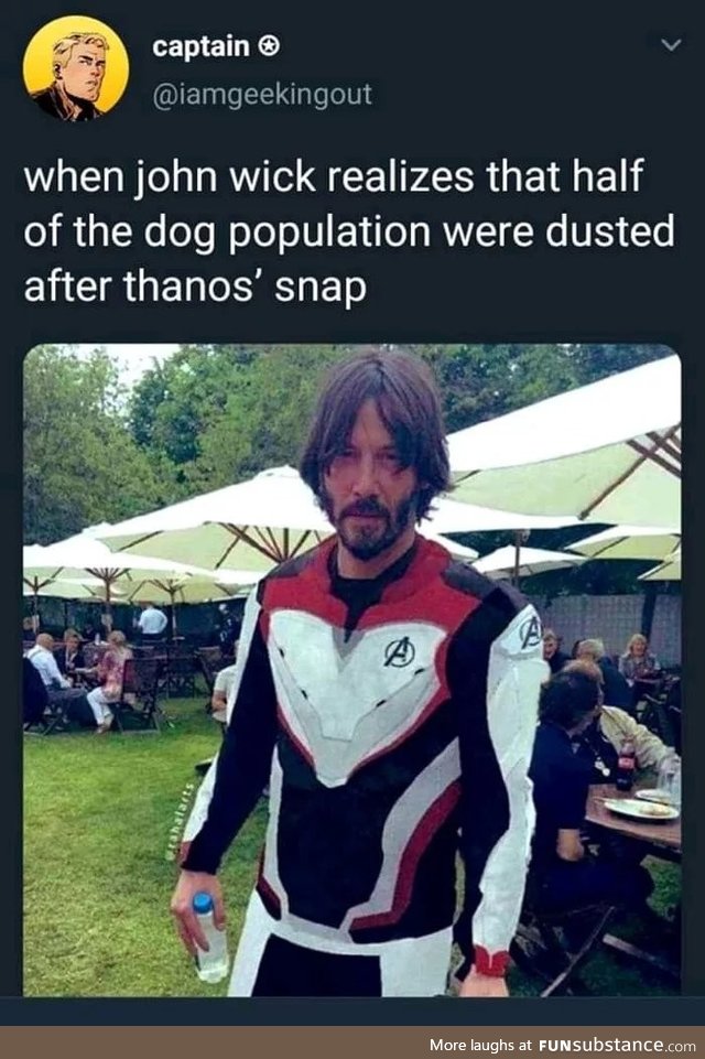 When he realized that thanos snapped half of the dogs population