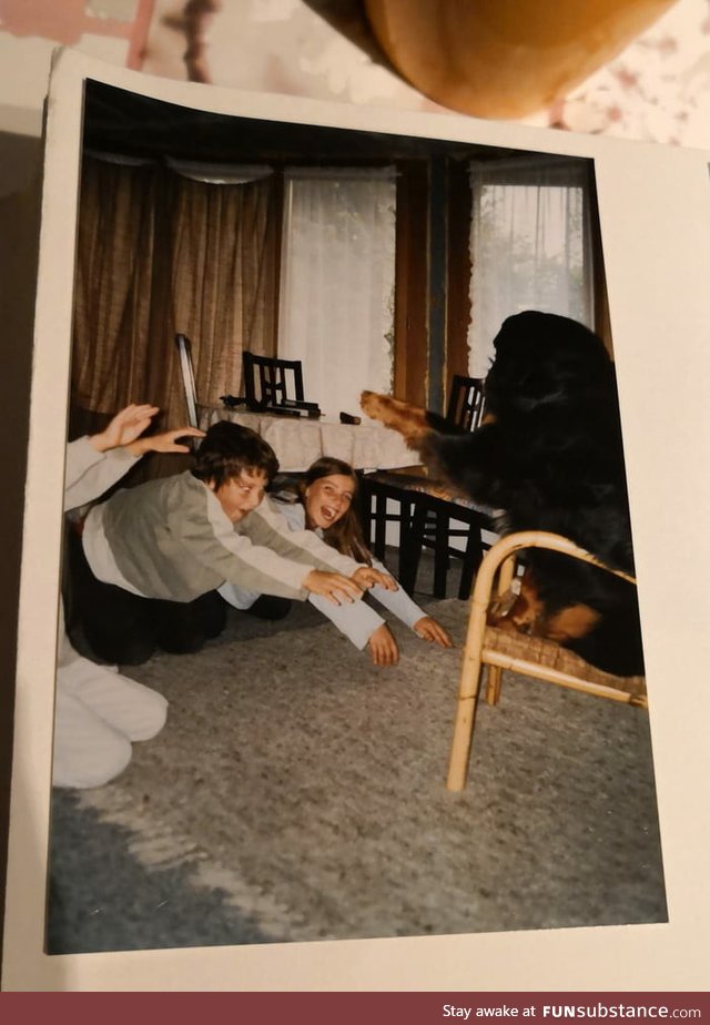 I found an old picture of us praising the dog