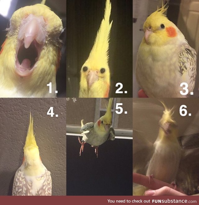Which one are you today?