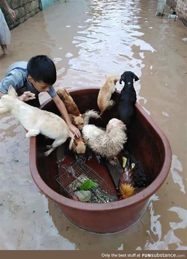 Kid rescues animals from flood after hurricane Willa