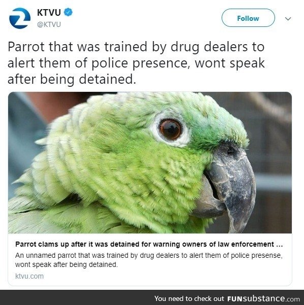 Polly's not a snitch