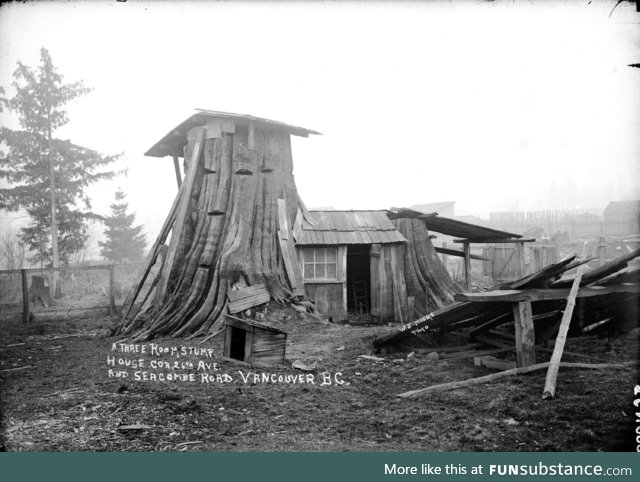 Three bedroom tree stump house in Vancouver, ~1900,