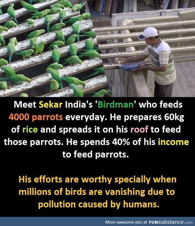 Indian birdman