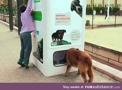 This vending machine dispenses food for homeless dogs when people recycle bottles