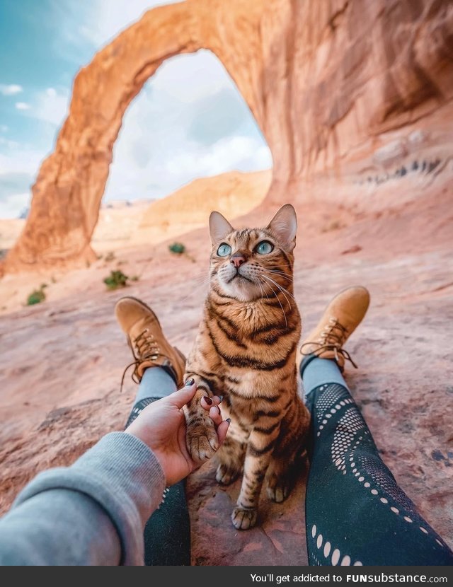Suki the adventure cat in Moab, Utah