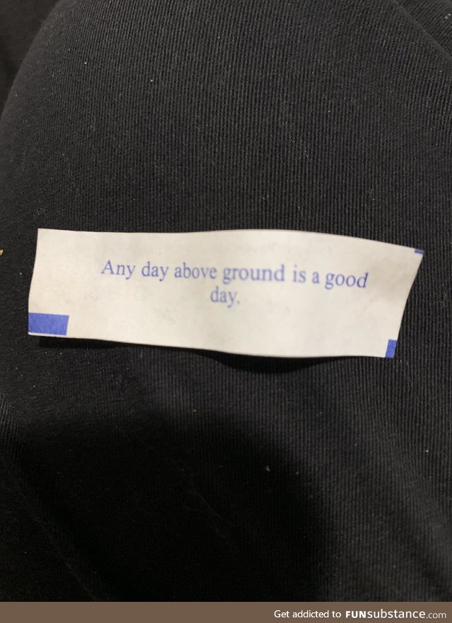 This was my fortune