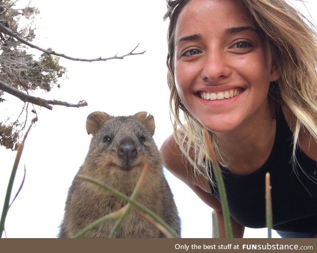 Just me and a quokka