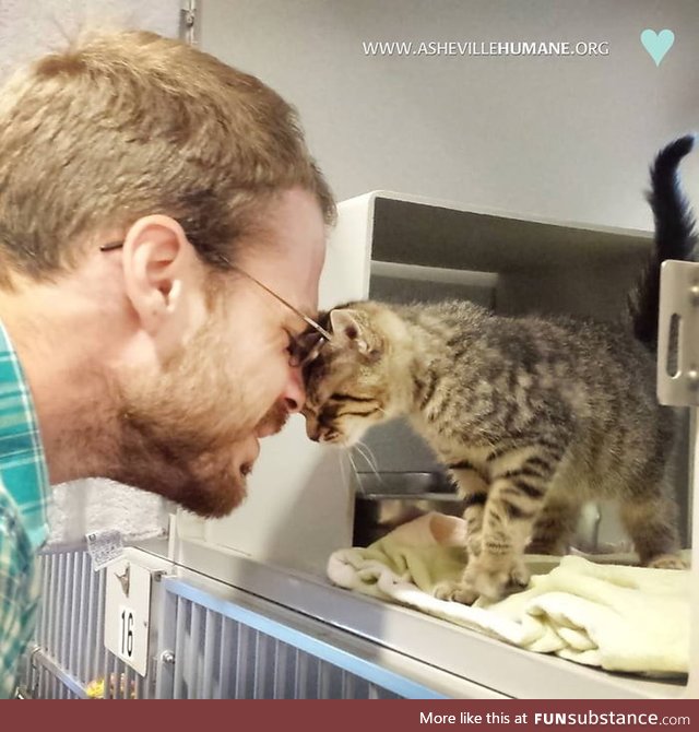 I adopted a kitten last week, and the shelter got a picture of our first meeting!
