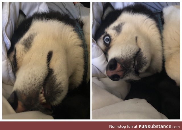 Before and after I accidentally woke him up with the camera sound