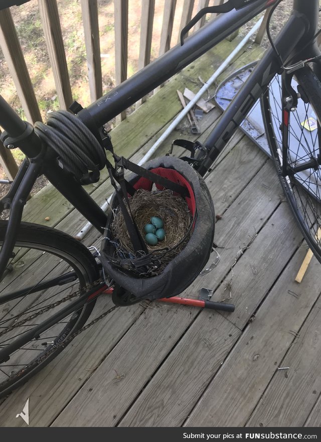Spring cleaning and my brother goes to dust off my dads bike