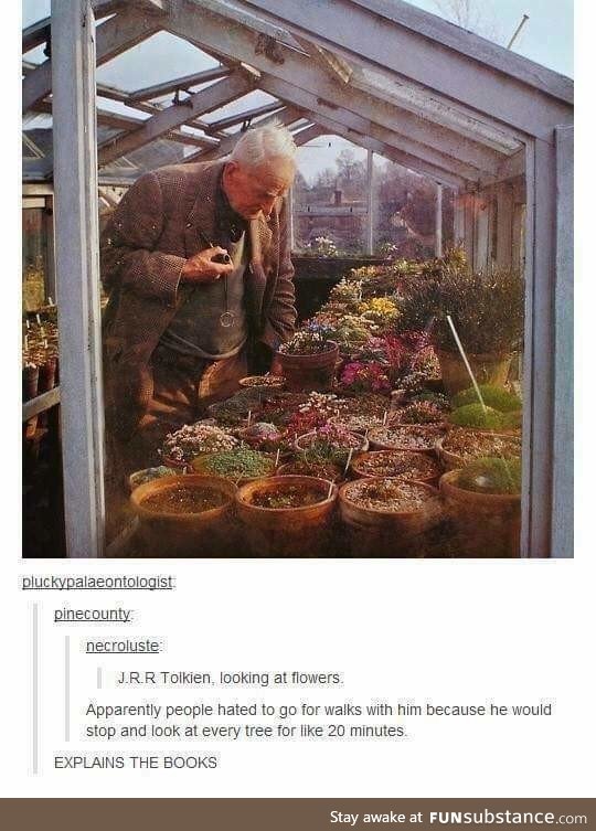 It takes a long time to do anything with J.R.R Tolkien