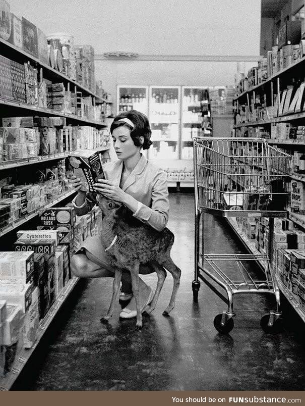 Audrey Hepburn shopping with her pet Deer therabouts 1958
