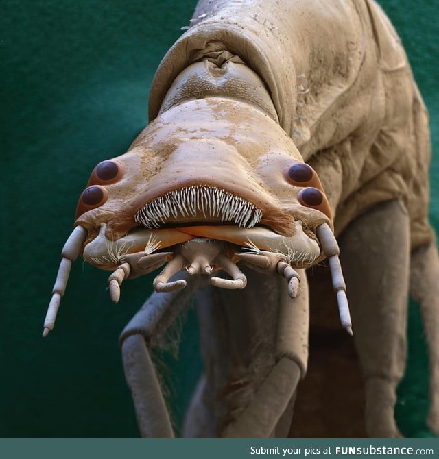 The microscopic world is terrifying