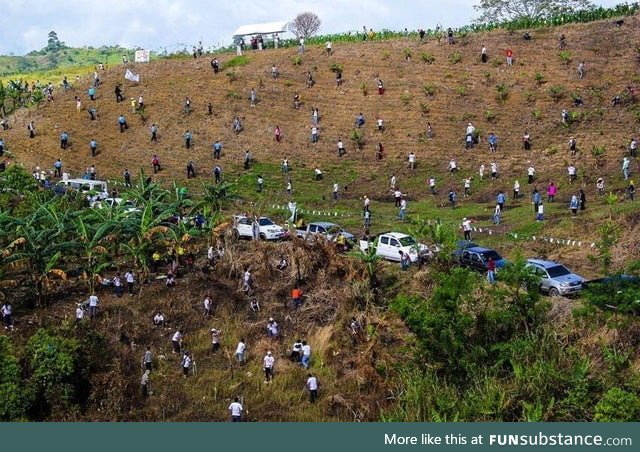 In the Philippines they broke world record of Pakistan after planting 3.2 million trees