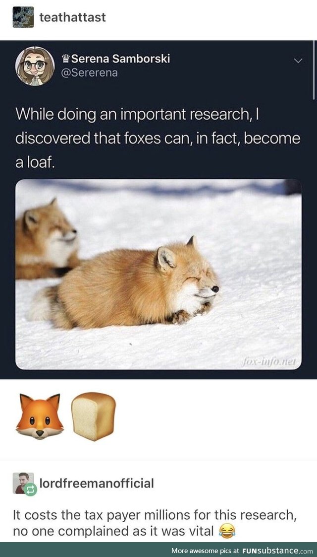 Foxes