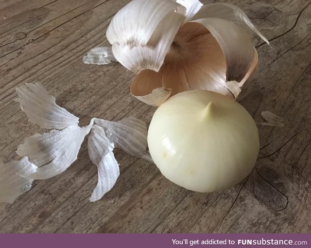 This garlic doesnt have separate cloves, it's just one solid piece