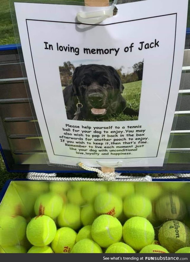 Jack is still a great bro.