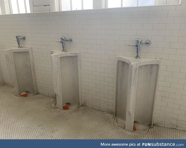 Never seen urinals like this...I’m uncomfortable now