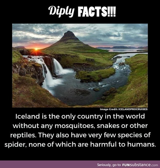 Is this True? No reptiles... Guess I'll start packing