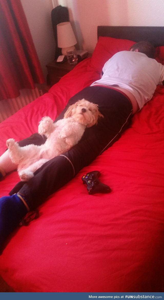 Found my boyfriend and dog taking a nap like this