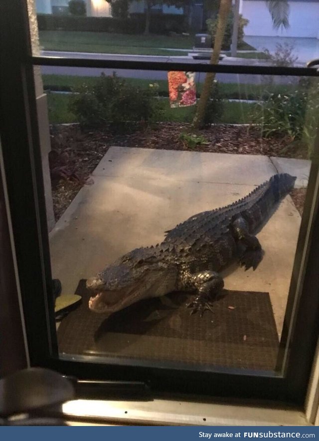 Someone in my neighborhood posted this pic on NextDoor a few hours ago