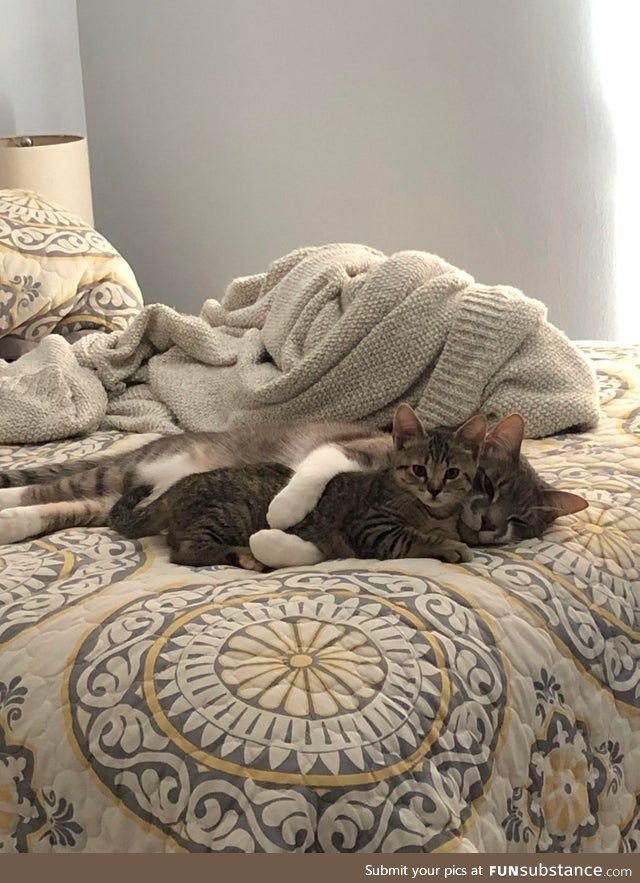 They fight all day, but turns out they actually love each other