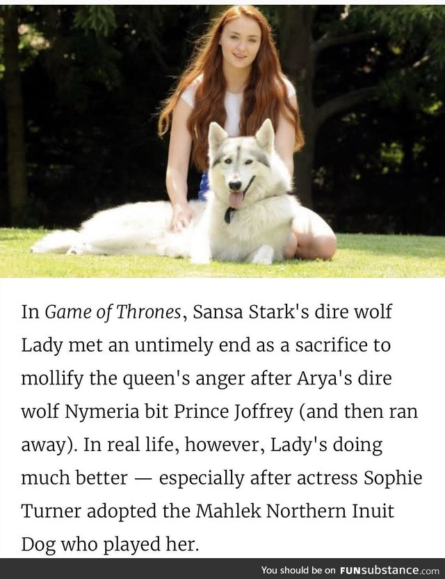 The Queen from the north and her adopted Dire wolf
