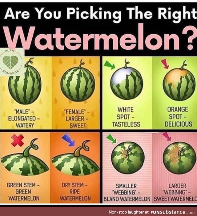 For those who don't know. Get the best melons