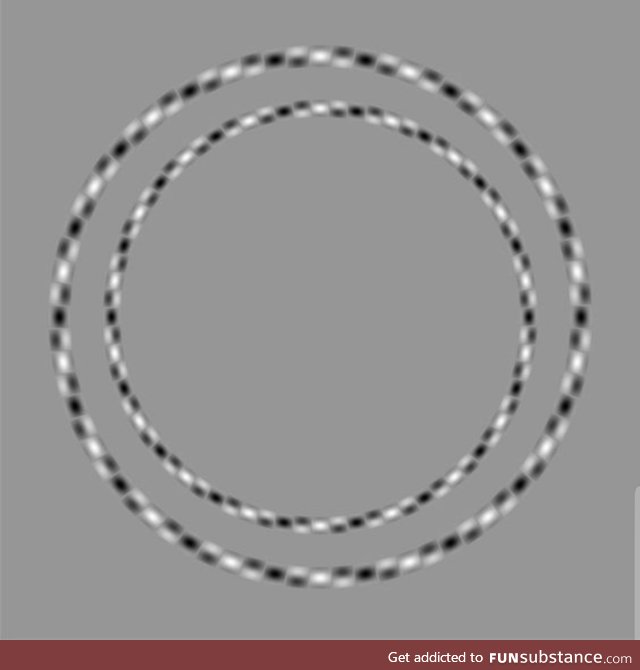 Just two concentric circles. They don't touch