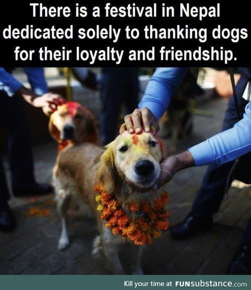 Such a proud doggo:)