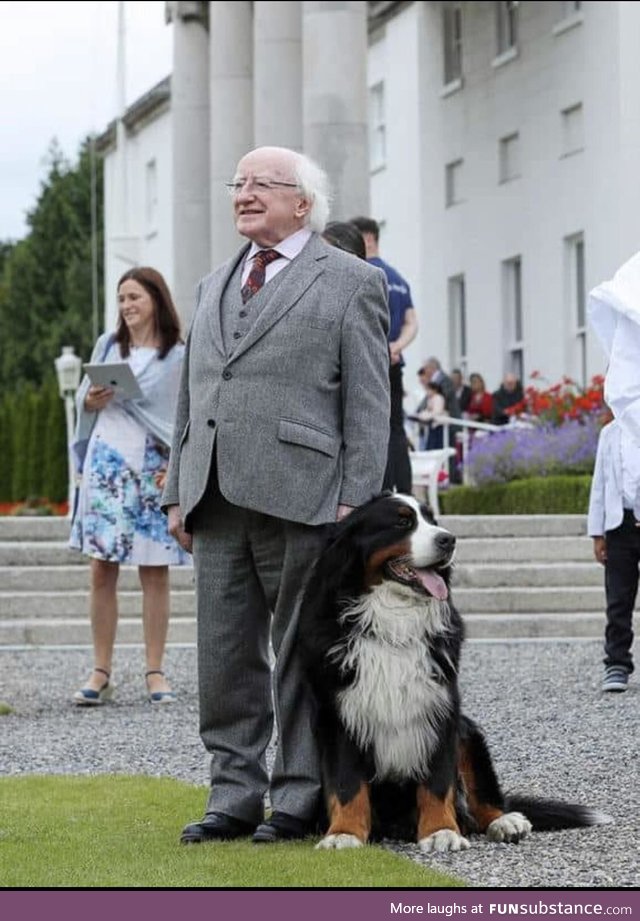 The President of Ireland and the First Pupper make an appearance
