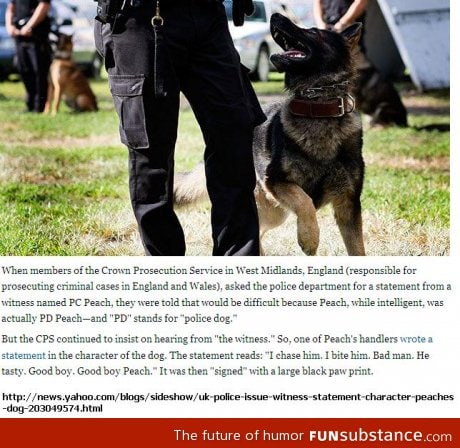 Police dog success, narrated to perfection