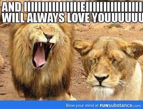 Singing lion