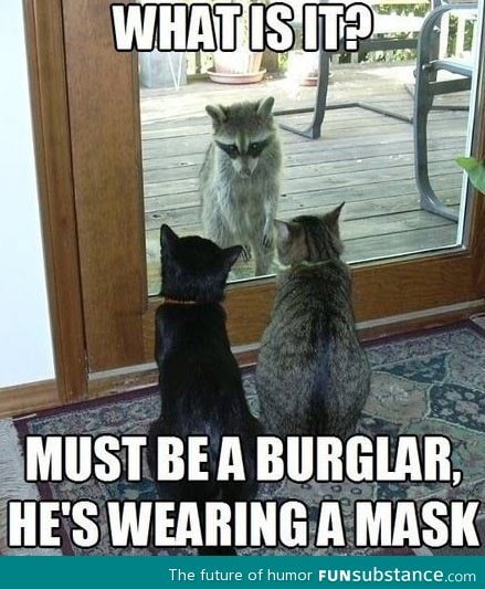 Must be a burglar