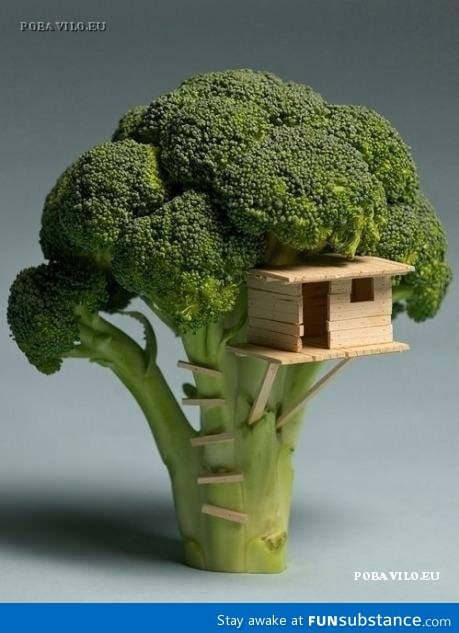 Mini tree house