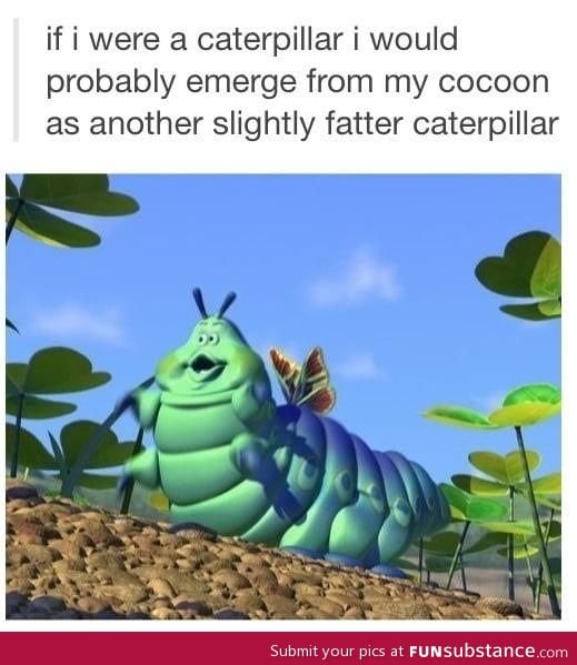 If I was a caterpillar