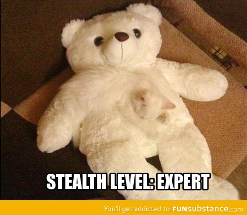 Stealth level: Expert