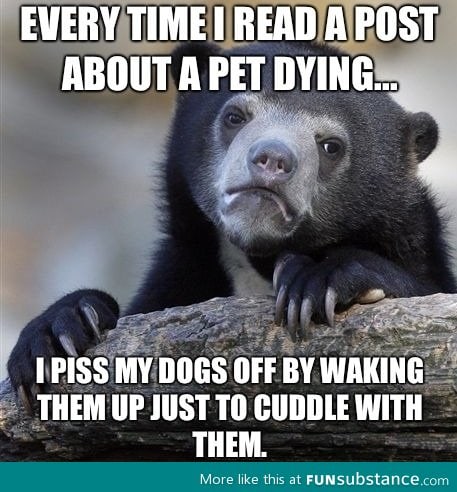 Every time I read a post about a pet dying