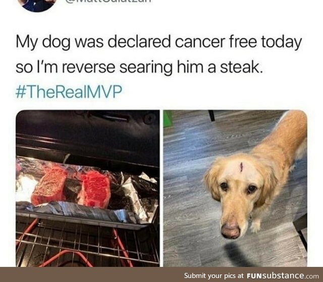 Good boy gets a good meal