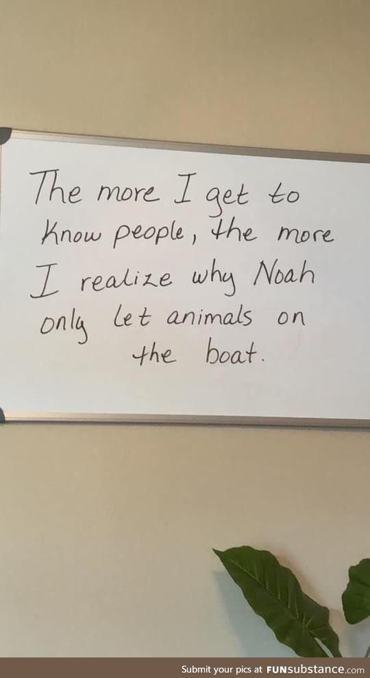 Noah figured it out