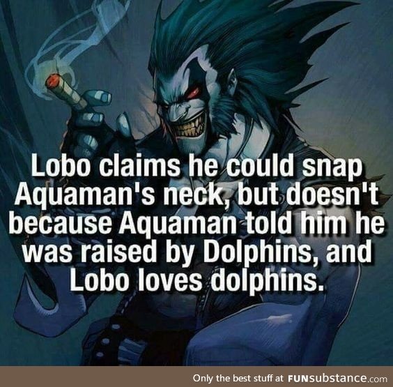 Lobo loves Dolphins