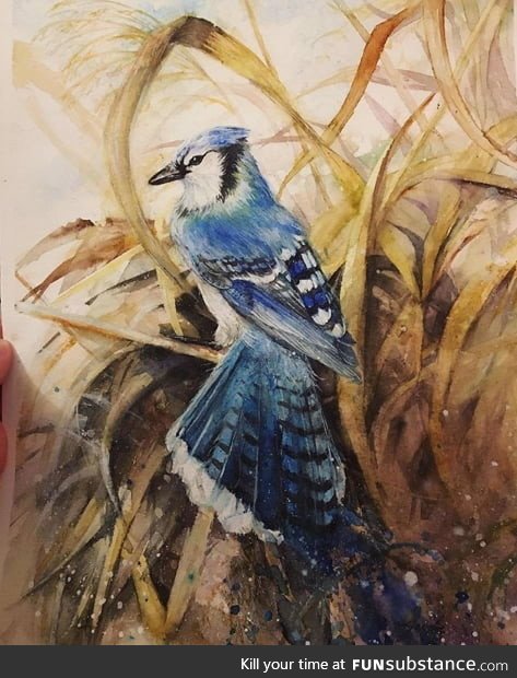 A blue jay in watercolor. Really happy how this turned out