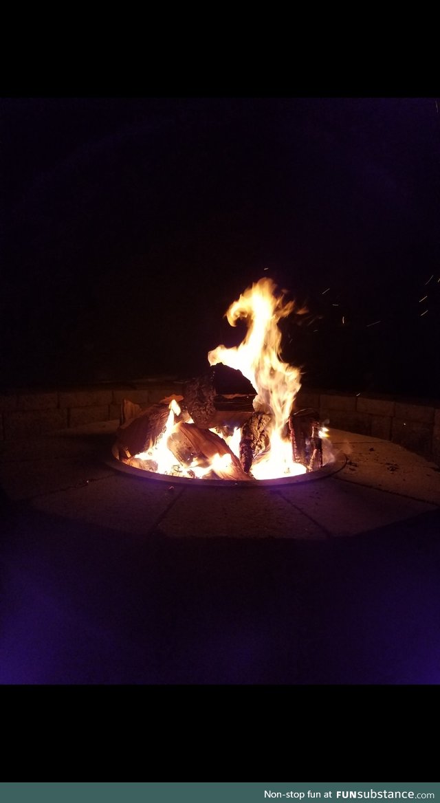 My fire gave birth to a horse