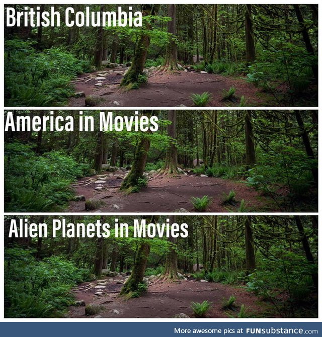 Oh SciFi movies