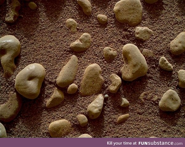 Pebbles on Mars seen today by Curiosity rover