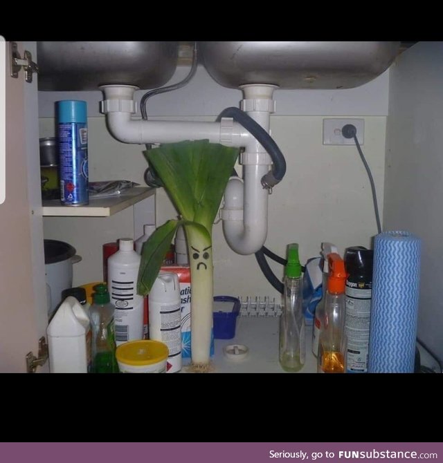 There's a serious leek under my sink